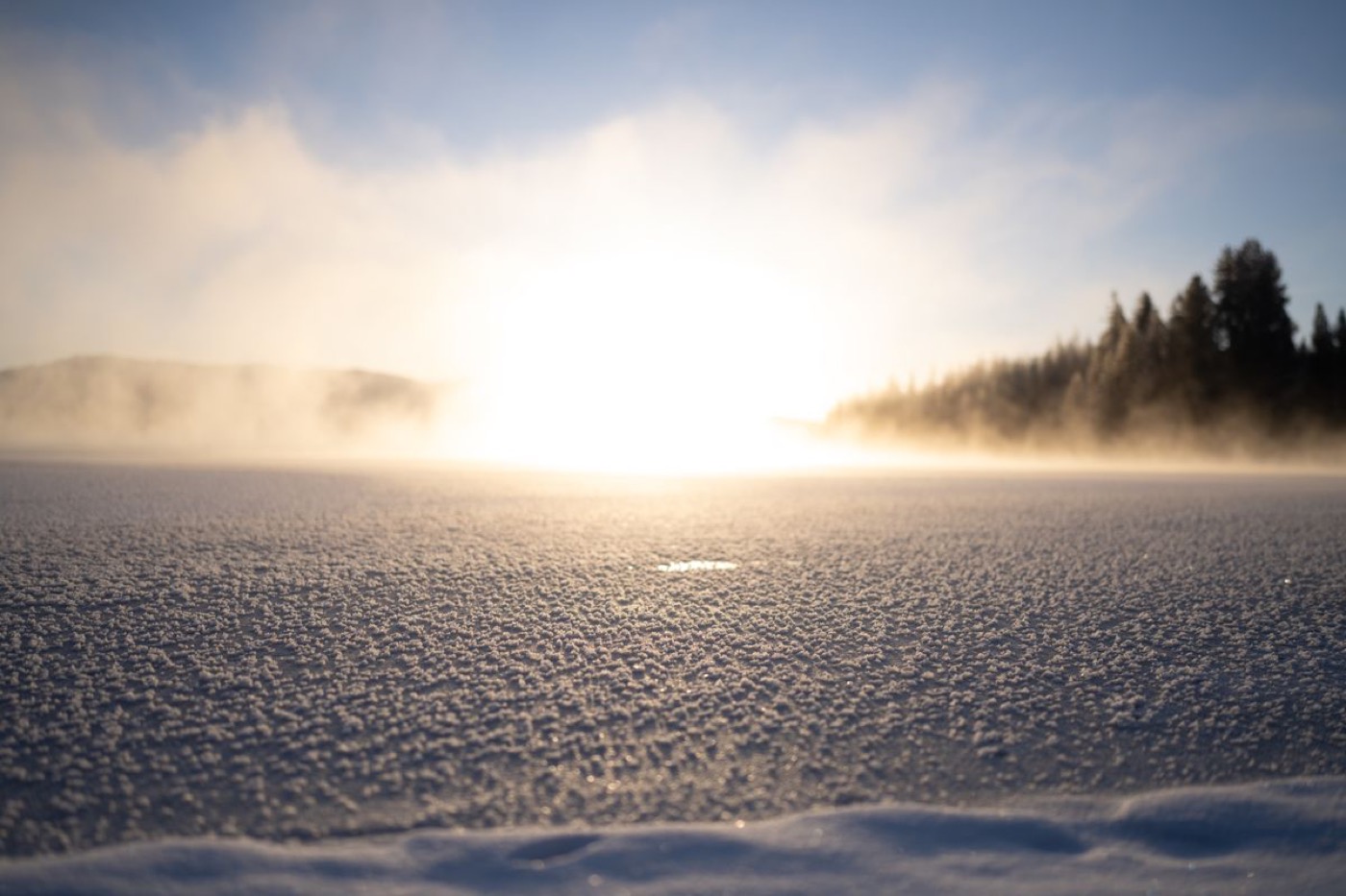 Mist rising off a frozen lake at dawn with a boreal treeline